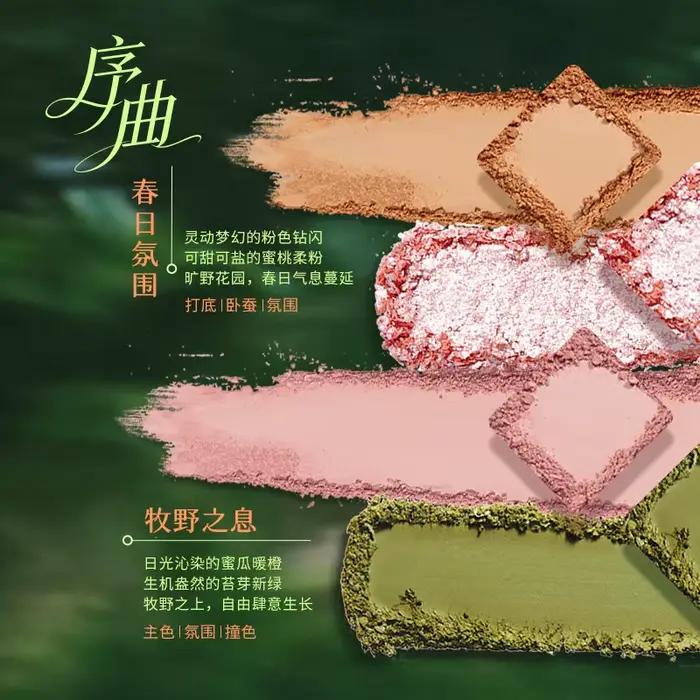 Coffret maquillage Cheeryep Qianyan printemps/été comprenant une palette de 16 fards à paupières et un blush