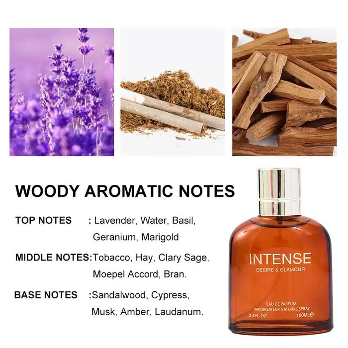 100ML 3.4FL.OZ INTENSE Parfum pour hommes Notes aromatiques woody Eau