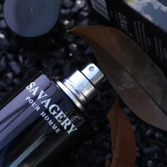 Parfum de Marque Boisé pour Homme, Spray de Parfum, Phéromone Séductrice, Cologne Longue Durée, Parfum Léger Océanique, Cadeau pour Homme Vibrant et Élégant