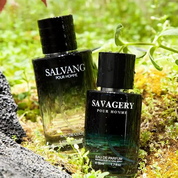 Parfum de Marque Boisé pour Homme, Spray de Parfum, Phéromone Séductrice, Cologne Longue Durée, Parfum Léger Océanique, Cadeau pour Homme Vibrant et Élégant