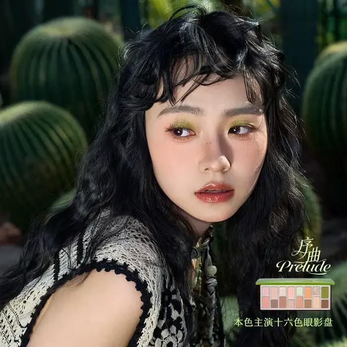 Coffret maquillage Cheeryep Qianyan printemps/été comprenant une palette de 16 fards à paupières et un blush