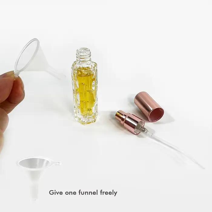 Mini bouteilles de pulvérisation de parfum de 10ml, 2 pièces, liquide de voyage Portable, contenant un atomiseur, livrer un entonnoir de parfum