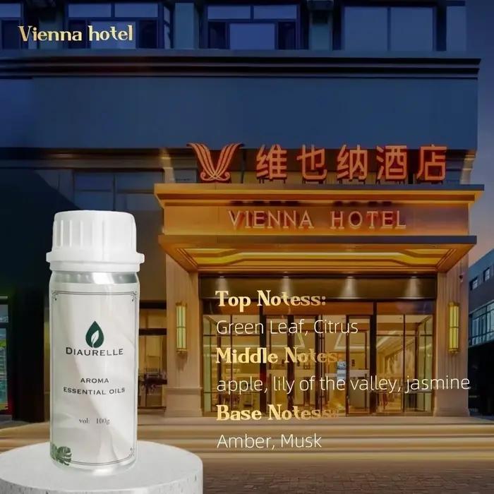 Diffuseur d'huiles essentielles pour hôtels et maison, 100 ml, sans remplissage, parfum Oasis végéta