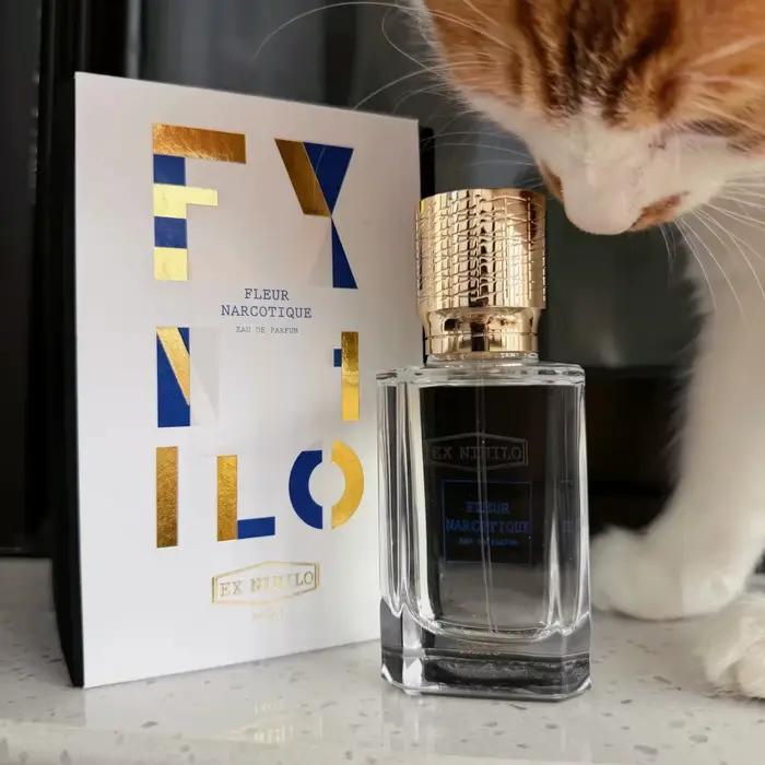 Parfum Enchantement Bleu Talisman Protecteur 100ml