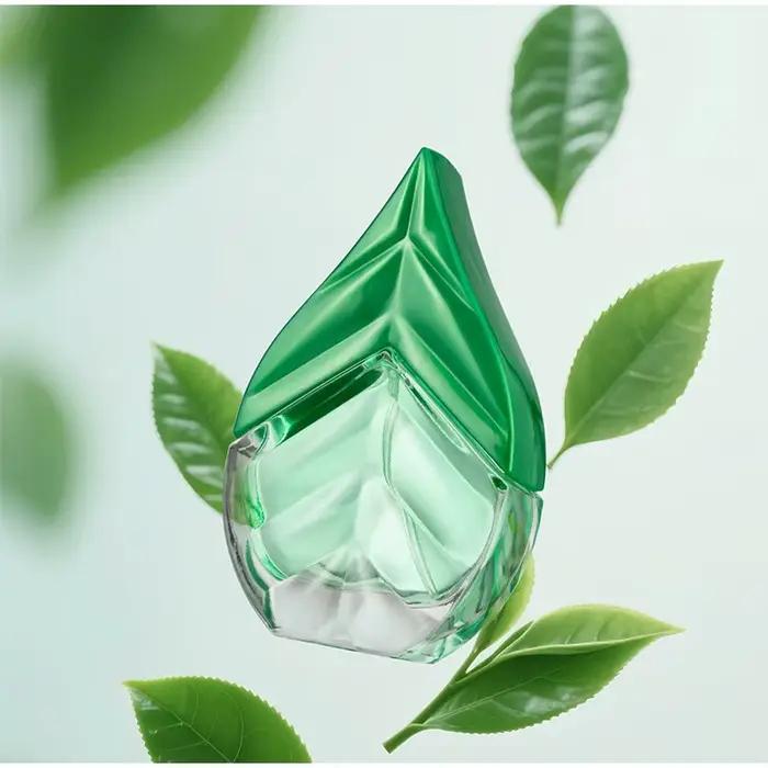 Thé noir thé vert marque parfum unisexe thé Oriental durable Eau De Toilette Niche frais Nature thé