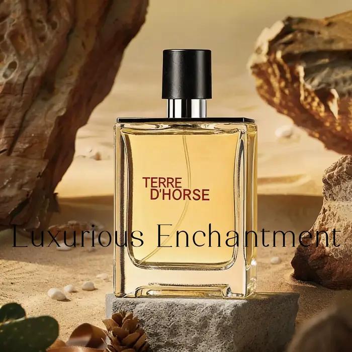Eau de Cologne pour homme Fresh Energetic Spicy Fougere 50ml/100ml | Boisé Terreux | Parfum longue durée