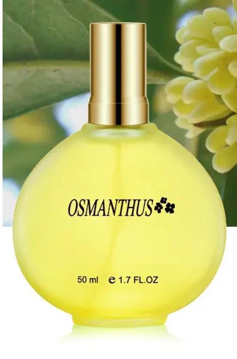 Parfums de marque 50ML